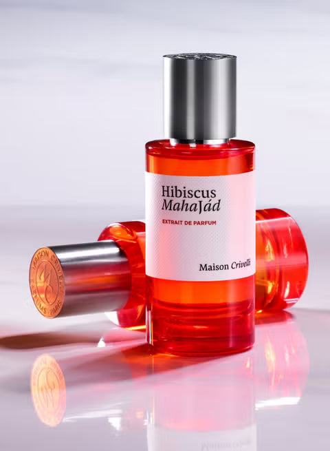 Hibiscus Mahajád  by Maison Crivelli