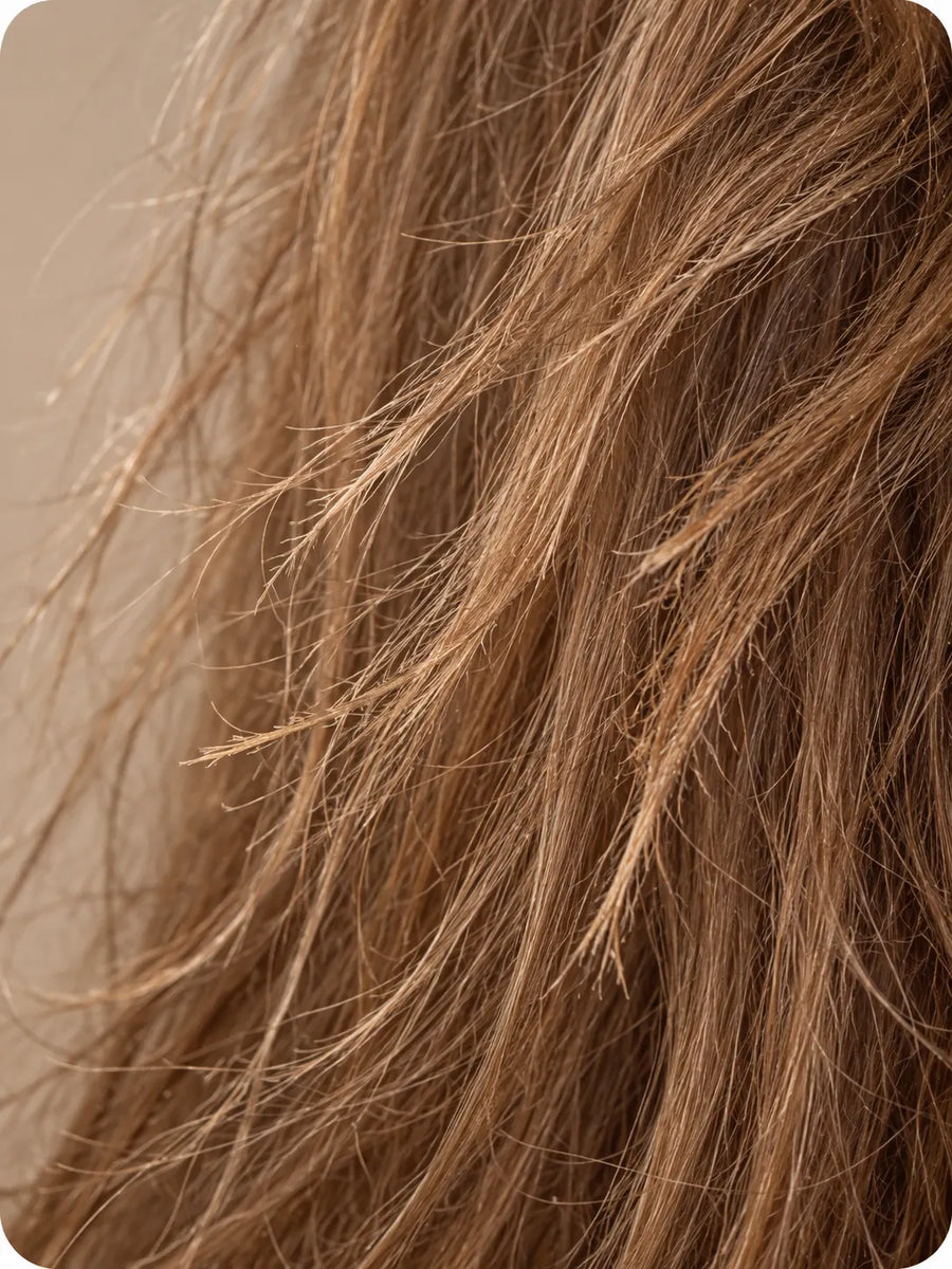 Dry & Damaged Hair