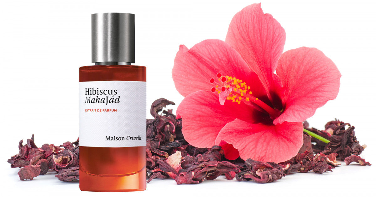Hibiscus Mahajád  by Maison Crivelli
